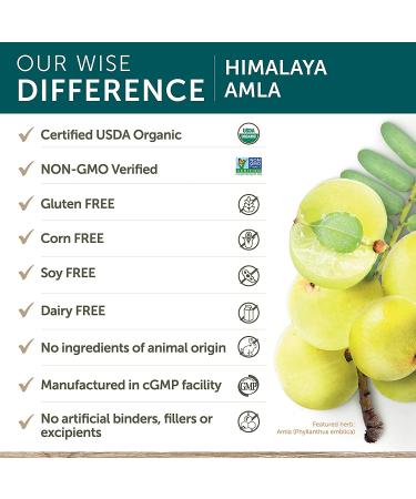 Himalaya Amla 60 Caplets - Natural Antioxidant & Immune Support - Buy Online on GoSupps.com