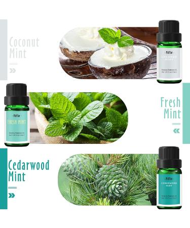 MitFlor Premium Mint Fragrance Oils Set - 6x10ml for Diffuser, Soap & Candle Making | Refreshing Home Fragrance & Aromatherapy Oil Gift Set - Buy Online on GoSupps.com