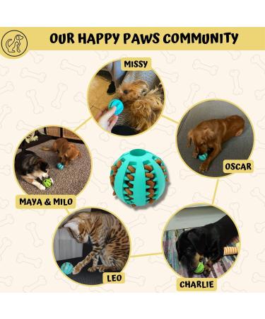 Pawsonly Feeding Ball for Dogs | Interactive Dog Toy for All Sizes | Dental Care Chew Toy | 6cm Green & Blue Puppy Playball - Buy Online on GoSupps.com