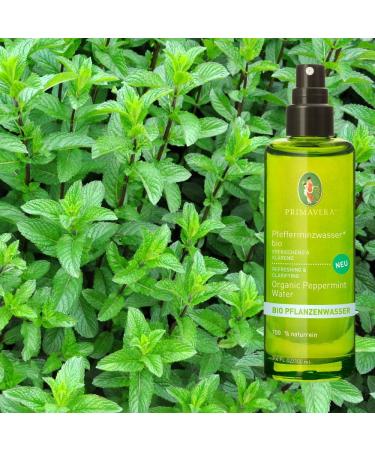 Primavera Vegan Organic Plant Waters Care Waters 100% natural essential oils 100ml Fragrance: Peppermint Water