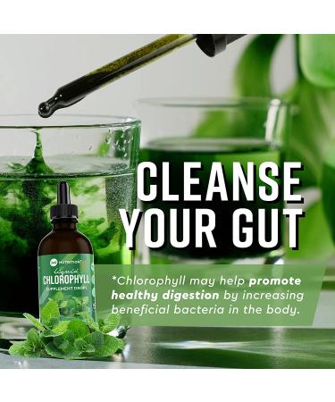 360 Nutrition Liquid Chlorophyll Drops with Peppermint Oil - Natural Detox & Digestion Support | Radiant Skin - 60 Servings - Buy Online on GoSupps.com