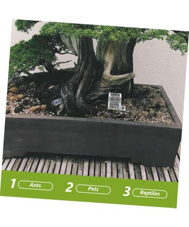 BESPORTBLE 4pcs Pet Water Feeder Ants Water Bowl Ants Water Feeding Bowl Mini Liquid Feeder Ants Feeder Plastic - Buy Online on GoSupps.com