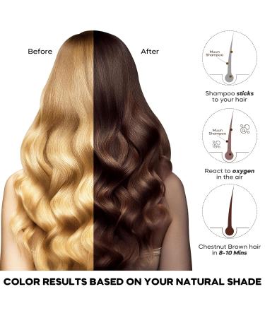 Dark Brown Hair Dye Shampoo - 3 In 1 Instant Gray Coverage | Herbal Hair Color for Men & Women (500mL - Buy Online on GoSupps.com