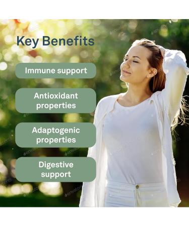 Organika Turkey Tail Mushroom- Organic 450mg 10:1 Extract- Immune Support- 90vcaps - Buy Online on GoSupps.com