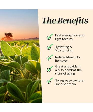Organic Soybean Oil Body Oil - Professional Massage Anti-Cellulite Anti-Aging with Vitamin E Makeup Remover - 2000ml - Buy Online on GoSupps.com