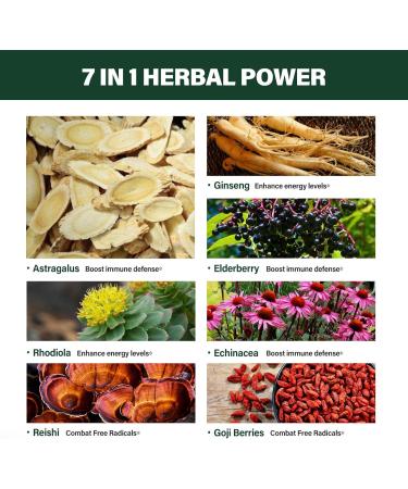 Verdeherb Astragalus Root Extract Herbal Drops for Immune System Support Immunity Health & Energy Boost Tincture Supplements with Rhodiola Rosea Echinacea Elderberry Reishi Ginseng. Huang Qi. 2oz - Buy Online on GoSupps.com