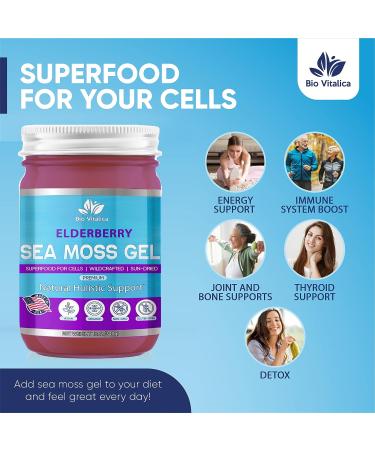 BioVitalica Sea Moss Gel - Raw Organic Irish Sea Moss - Dr Sebi Vegan Superfood - 100% Natural Elderberry Infused Gel - Premium Quality (12 Fl Oz) - Buy Online on GoSupps.com
