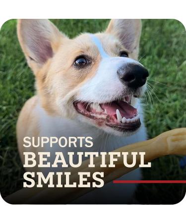 Redbarn Collagen Sticks X-Large Count of 25 Beef 4.2 Ounce (Pack of 25) - Buy Online on GoSupps.com