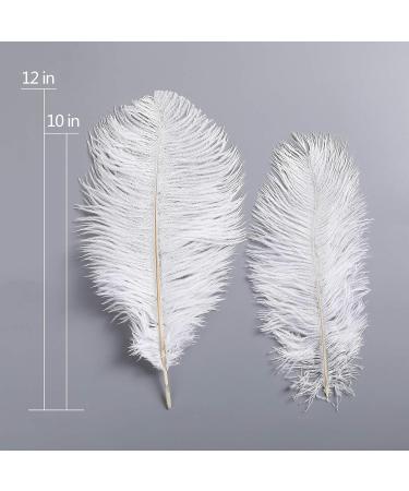 AWAYTR 10-12 inch Natural Ostrich Feathers - 10pcs White | Wedding Centerpieces, Home Decor, Flower Arrangement, Christmas DIY - Buy Online on GoSupps.com
