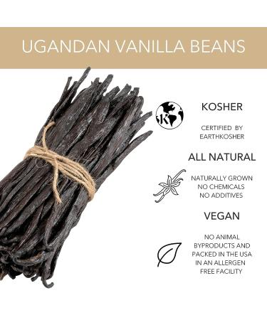 Slofoodgroup Gourmet Vanilla Beans - Grade A Uganda Bourbon Vanilla - Ideal for Cooking, Baking, and Extracts - 10 Count Pack - Buy Online on GoSupps.com