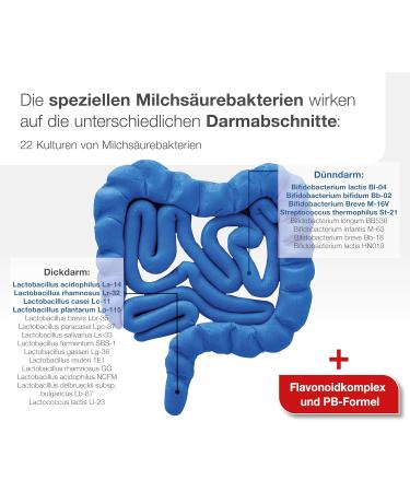 Darmflora Plus Select Complex Dr. Wolz - 160 Billion Bacteria/Day 23 Strains Flavonoid Complex 40 Capsules | International Shipping - Buy Online on GoSupps.com