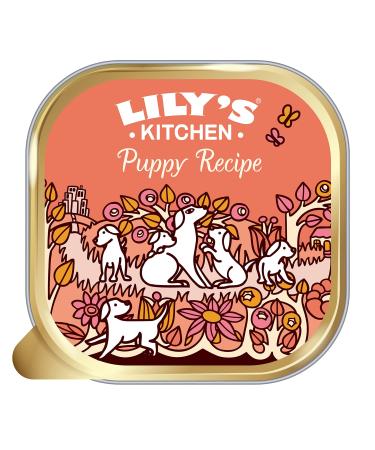 Lily's Kitchen - Complete Natural Adult Dog Food Wet (10 x 150g Trays) Chicken 150 g (Pack of 10) - Buy Online on GoSupps.com