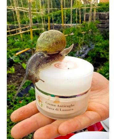 Snail Green Face Cream Snail Slime 50 ml Anti-Wrinkle Acne Healing Regenerating with Hyaluronic Acid Aloe Vera 100% Made in Italy - Buy Online on GoSupps.com