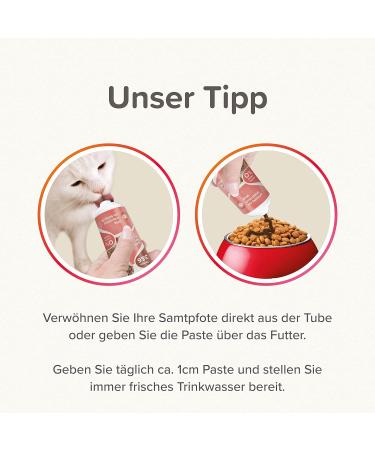 Buy Beaphar Salmon Oil Paste for Cats - Omega 3 & 6 100g | Sugar-Free DHA for Visual Support - Buy Online on GoSupps.com