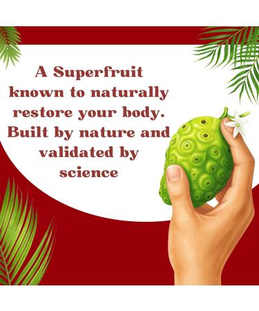 BASIC AYURVEDA Noni Virgin Fruit Juice | 16.23 Fl Oz (480ml) | Pure & Organic | Natural Antioxidant-Rich Fruit Juice | for Wellness Energy & Daily Health Support - Buy Online on GoSupps.com