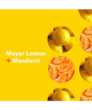 Everyone Hand Soap - Meyer Lemon Mandarin 128.5 Fl Oz | Eco-Friendly & Natural Clean - Buy Online on GoSupps.com