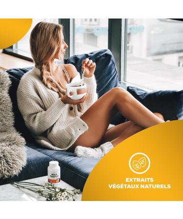 BioTechUSA Milk Thistle Capsules with Milk Thistle Fruit Extract as a Dietary Supplement 60 Capsules - Buy Online on GoSupps.com