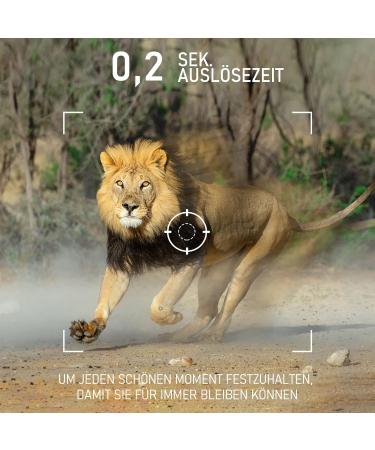 4K 48MP Wild Camera - IP66 Hunting Camera with 120 Wide Angle & 0.2s Trigger Time - IR LEDs & 2.4'' LCD for Wildlife Observation - Buy Online on GoSupps.com