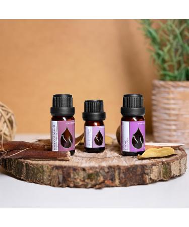 Organic Essential Oils Set - Thyme, Greek Oregano, Lemon Savory (100% Pure) | 25ml Total | Therapeutic Grade, Non-GMO - Vitality Essences Bulgaria - Buy Online on GoSupps.com