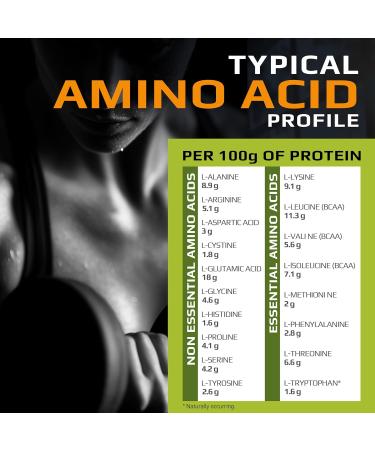 MFL Muscle Whey Protein 2 lbs l 26g of Protein l 8g BCAAs l 6g Glutamine l Low Carbs l 28 Servings (Chocolate Lava) - Buy Online on GoSupps.com