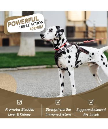KOBE S Probiotics for Dogs | Digestive Enzyme | UTI Antibiotic | Boosts Immune System | Supports Overall Health | Dog Yeast & Diarrhea Treatment - Buy Online on GoSupps.com