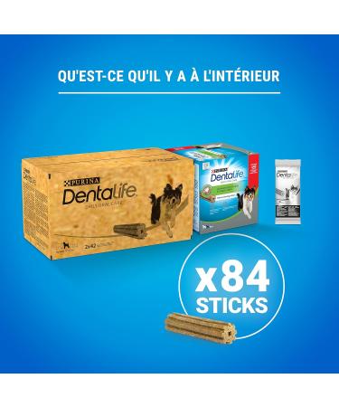 Dentalife Medium Dental Sticks for Dogs | 1.93 kg Multipack | Bucco Hygiene Chews for Medium-Sized Dogs (12-25 kg) - Buy Internationally - Buy Online on GoSupps.com