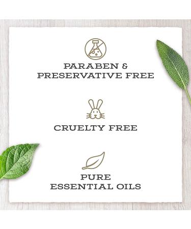 Little Moon Essentials Oatmeal Heaven Soothing Mineral Bath - 13.5 oz - Relax & Soothe Skin - Buy Online on GoSupps.com