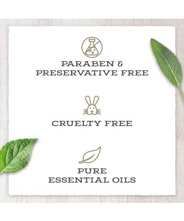 Little Moon Essentials Overcome Exhaustion Massage Oil - 4 oz | Relieve Fatigue & Boost Relaxation - Shop Internationally - Buy Online on GoSupps.com