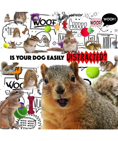 Chow Focus Dog Aromatherapy Spray 2.67-Ounce Spray Chow - Buy Online on GoSupps.com