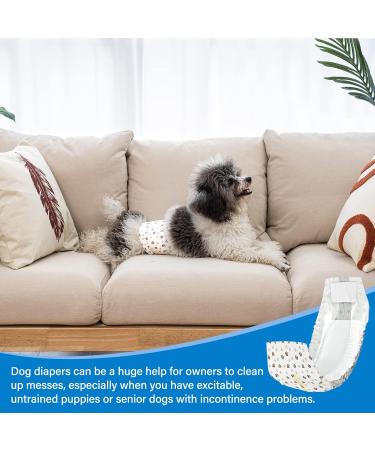Pet Soft Disposable Dog Diapers for Male Dogs - 20 Pack Highly Absorbent & Leak-Proof with Wetness Indicator - Buy Online on GoSupps.com
