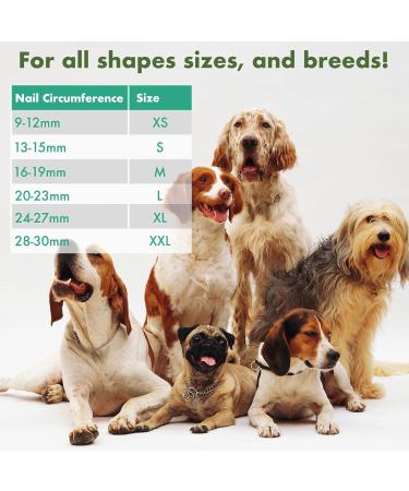 EIDEAL Pets | Nail-Grips for Dogs | Anti-slip Nail Covers for Dogs | Traction Grips for Dogs | Affordable Rubber Grips for Dogs for Hardwood Floors | Instant Relief for Dogs who Slip (M) | One pack (20 Grips) - Buy Online on GoSupps.com