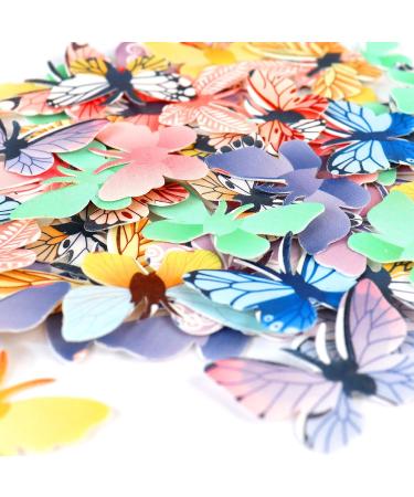Ercadio 72 Pack Ediable Colorful Butterfly Cupcake Toppers Butterfly Cupcake Picks Ediable Butterfly Cupcake Decorations for Butterfly Theme Baby Shower Kids Birthday Party Cake Supplies B-ediable - Buy Online on GoSupps.com