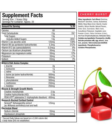 MuscleTech Cell Tech Elite Cherry Burst - Premium 1.3 lbs Creatine Supplement - Buy Online on GoSupps.com