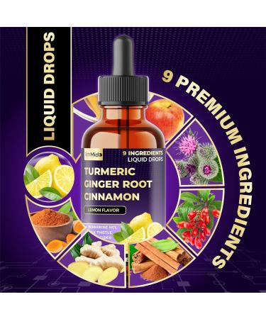 Tenmido 9in1 Liquid Turmeric Curcumin Supplement with Ginger Ceylon Cinnamon Berberine HCl Milk Thistle Apple Cider Vinegar Rosemary Holy Basil & Black Pepper - 30ml 1Fl Oz - Buy Online on GoSupps.com