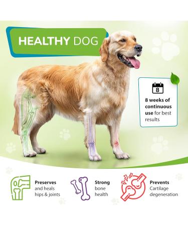 Furever Friendz Joint Supplements for Dogs 120 Tablets - Triple Strength Chondroitin Glucosamine with Vit C & MSM - Dog Joint Supplements for Senior Dogs - Buy Online on GoSupps.com