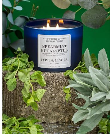 Aromatherapy Candle - Eucalyptus Luxury Soy & Beeswax 3 Wick - 16 oz Stress Relief & Relaxation Candle for Home - Buy Online on GoSupps.com