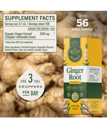 HERBAMAMA Ginger Drops - Vegan Digestive Support & Overall Well-Being with Ginger Root Extract Tincture - Non-GMO, Alcohol & Sugar-Free Liquid Antioxidant Supplement, 56-Day Supply 4 Fl Oz (Pack of 1) - Buy Online on GoSupps.com