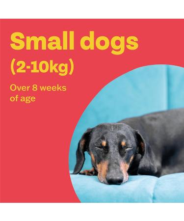 Bob Martin Clear Spot On Flea & Tick Treatment for Small Dogs 2-10kg - 3 Pipettes - Buy Online on GoSupps.com