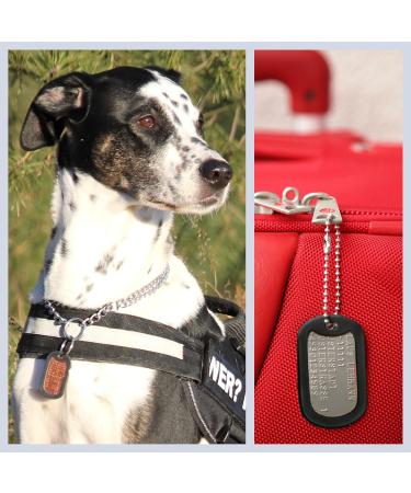 Personalized Dog Day Chains | 2-Piece ID Set with Embossing | Custom Text & Motifs | Military Equipment - Gold Finish - Buy Online on GoSupps.com