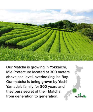 Premium Japanese Matcha Green Tea Powder - 100% Organic, Ideal for Matcha Latte, Smoothies, Desserts & Baking - No Sugar Added - 3.5 oz by AprikaLife - Buy Online on GoSupps.com