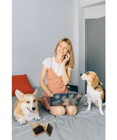 Woolbuddy Wool Carders Large - 2 pcs Hand Carders for Wool, Needle Felting Tools, Slicker Brush for Dogs - Spinning, Weaving, Carding Brushes - Buy Online on GoSupps.com