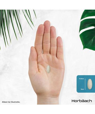 Horbach MSM 2000 mg with Vitamin C 365 Vegan Tablets Methylsulfonylmethane Supplement High Strength MSM Powder Tablets from Horbaach - Buy Online on GoSupps.com