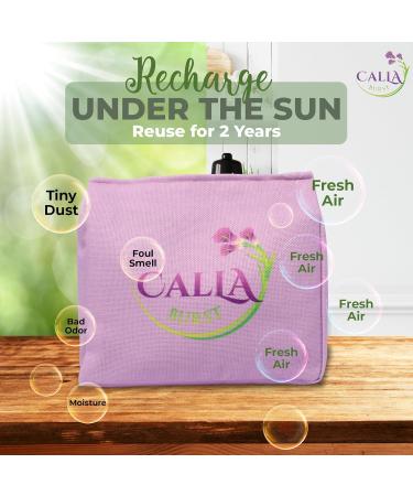 Activated Charcoal Odor Absorber Bags | Natural Air Purifier for Home & Car | Neutralizes Smoke Pet Odors & Moisture | Freshness for Closets (300 gm - Buy Online on GoSupps.com