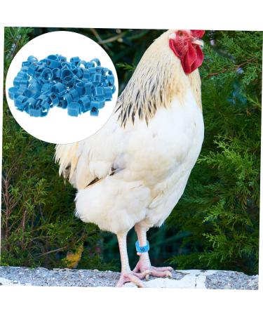 FRCOLOR 200 Pcs Pigeon Anklet Plastic Tags Chicken Foot Bands Dove Pigeon Foot Bands Baby Chicken Foot Ring 1X1X0.8CMx2pcs Bluex2pcs - Buy Online on GoSupps.com