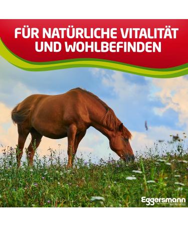 EGGERSMANN Professional Garlic Plus 1kg - Horse Supplement Feed Against Flies Mosquitoes & Metabolism Support - Buy Online on GoSupps.com