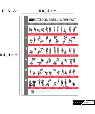Clean Sports Kurzbang Workout Poster A1 | 6 Full-Body Dumbbell Workouts for Home & Gym Fitness Studio - Buy Online on GoSupps.com