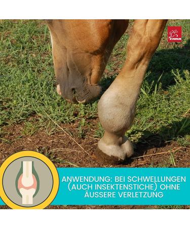 Refreshing Gel for Horses I Refreshing Horse Balm 1000 + 500 ml Refreshing Ointment with Arnica I Massage Cream for Tendons Joints Muscles and Ligaments I - Buy Online on GoSupps.com