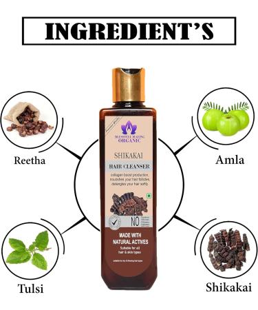 Blessfull Healing Organic Shikakai Hair Cleanser | Shampoo 100 ML (Packing May Vary) 100 ml (Pack of 1) - Buy Online on GoSupps.com