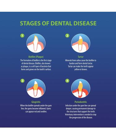 CLENZ-A-DENT Large Dog Dental Chews - 100% Vegetarian Dog Dental Sticks - Natural Dog Toothbrush and Dog Breath Freshener That Fights Plaque Removes Tartar & Simplifies Dog Teeth Cleaning (12 Pack) 34 g (Pack of 12) - Buy Online on GoSupps.com