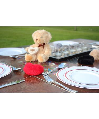  48 Pcs Plastic Plates Red Rim Disposable Set Combo 24 x 10.25 and 24 x 7.5 for Main Course Salad Appetizer Dessert Fruits Disposable Perfect for Dinner Party Holiday Events Picnics and BBQ - Buy Online on GoSupps.com
